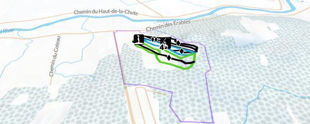 Piste map of the resort Mont Rigaud