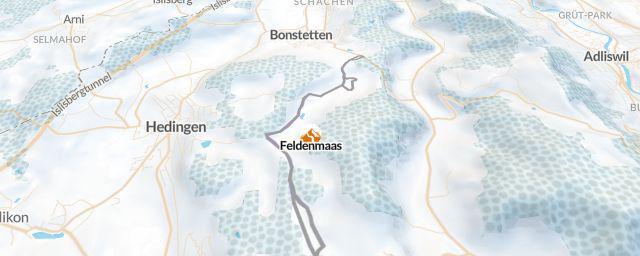 Piste map of the resort Feldenmaas