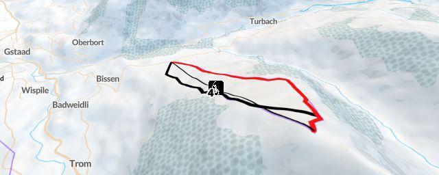 Piste map of the resort Gstaad - Wasserngrat