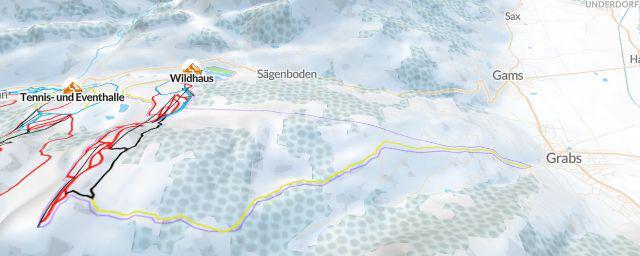 Piste map of the resort Wildhaus