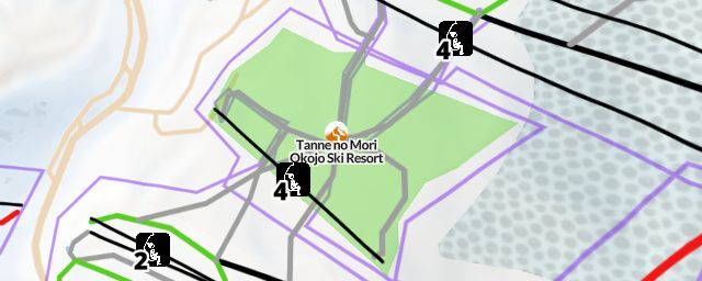 Piste map of the resort Tanne no Mori Okojo Ski Resort