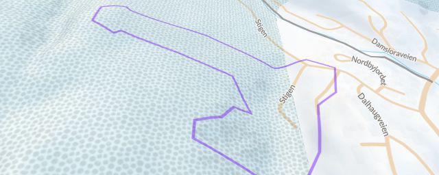 Piste map of the resort Bjørkelangen skisenter