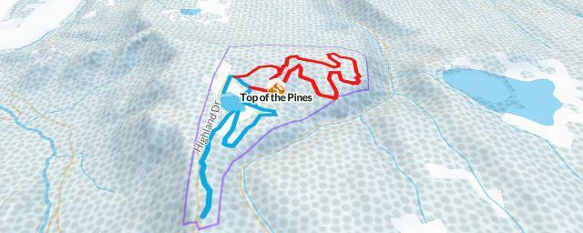 Piste map of the resort Top of the Pines