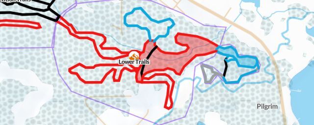 Piste map of the resort Lower Trails