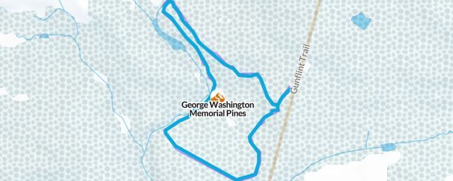 Piste map of the resort George Washington Memorial Pines
