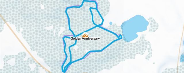 Piste map of the resort Golden Anniversary