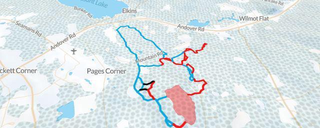 Piste map of the resort Pine Hill Ski Club